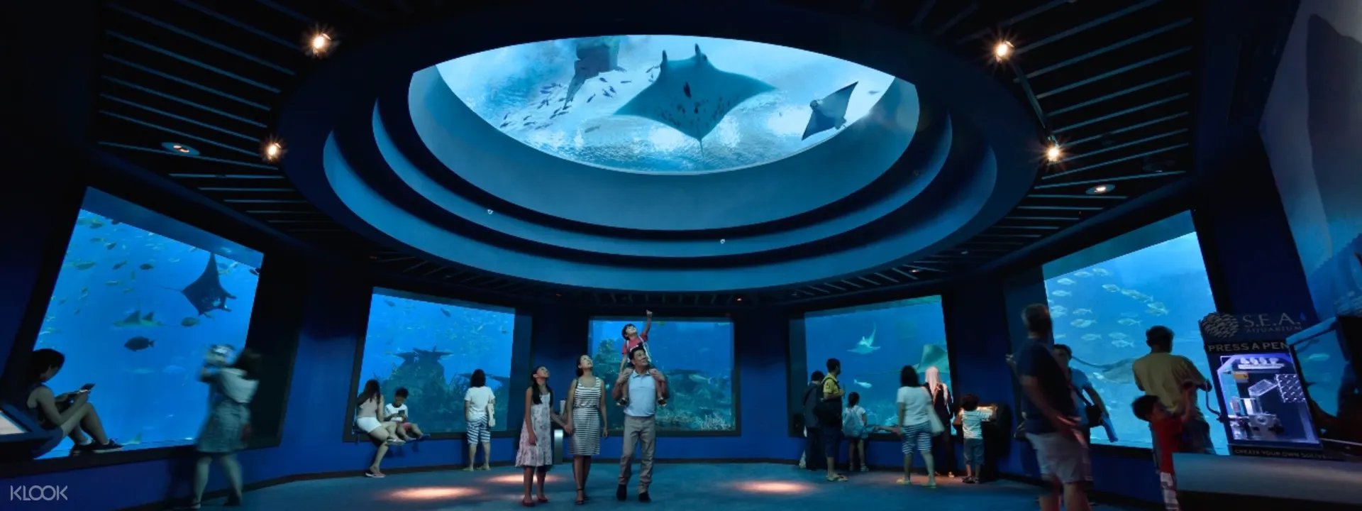 พิพิธภัณฑ์สัตว์น้ำ S.E.A สิงคโปร์